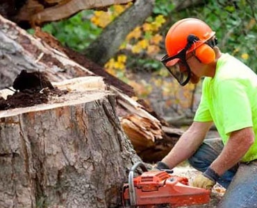 Landscaping Services in Denham Springs, LA