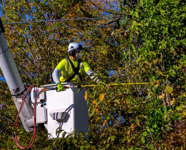 Storm Cleanup Denham in Springs, LA