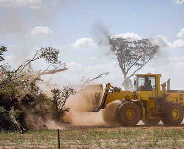 Stump Grinding in Denham Springs, LA