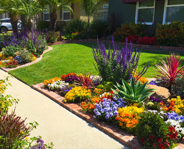 Tree Removal Services in Denham Springs, LA